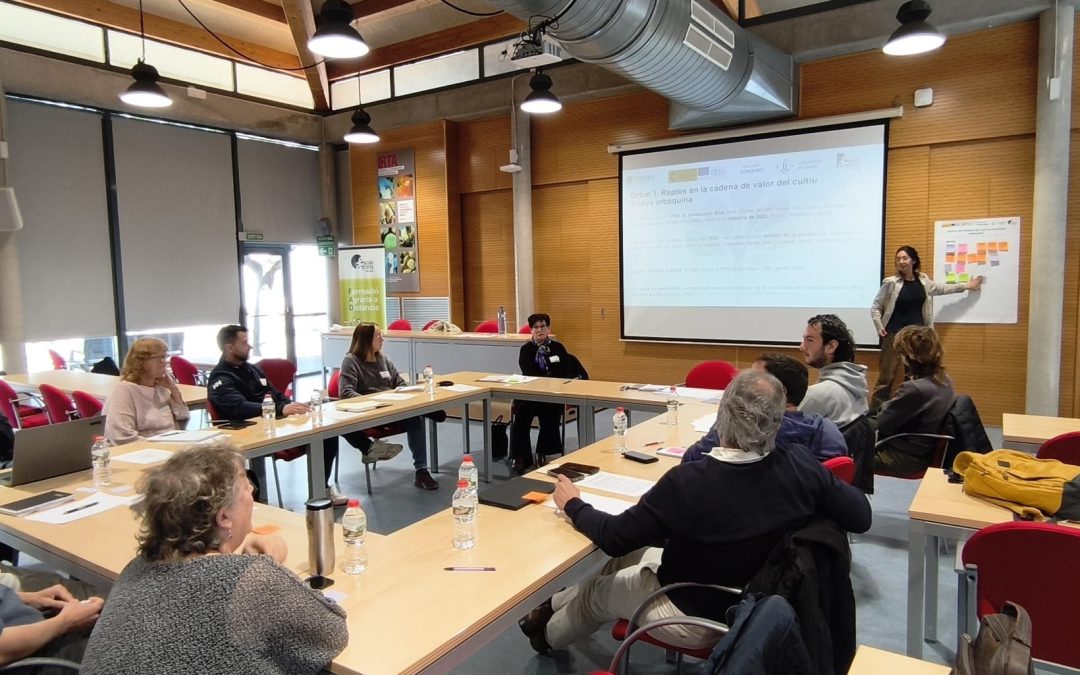 Focus groups meetings in Catalonia