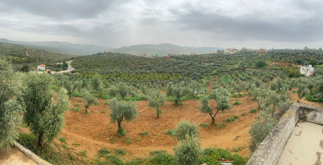 Growing Innovation in Jerash (Jordan): RevAgroForMed’s First Field Results